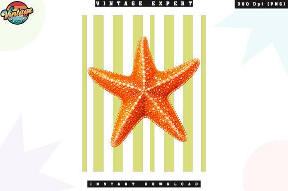 Coastal Starfish Beach Aesthetic PNG: A Designer's Guide